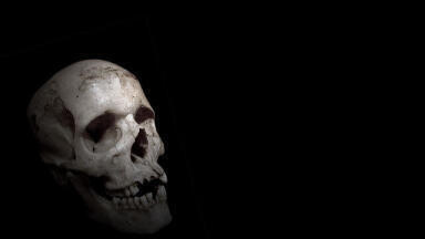 What Can Skeletons Teach Us About the Past?