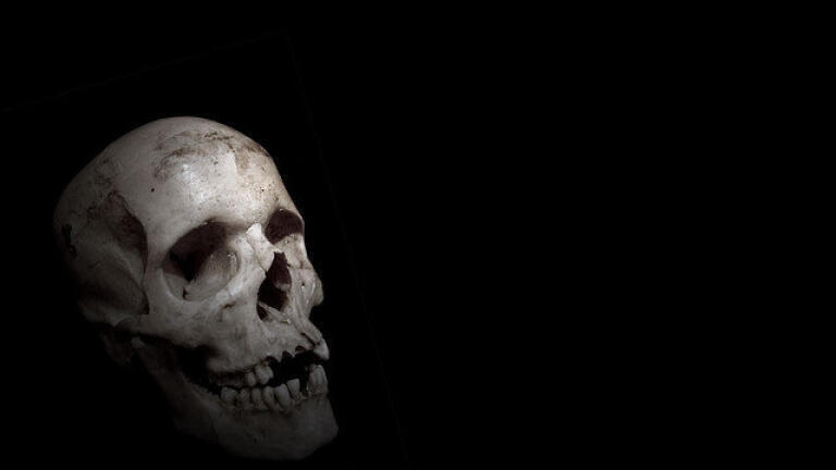 What Can Skeletons Teach Us About the Past?