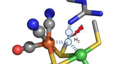 Bacteria’s Hydrogen Splitting Secrets Revealed