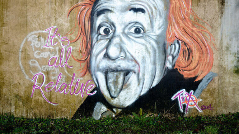 Who Stole Albert Einstein's Brain?