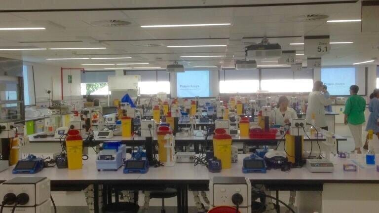 81 DeNovix DS-11 Microvolume Spectrophotometers Purchased by Queensland University of Technology for new Teaching Labs