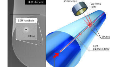 Seeing Viruses in a New Light with Nanoholes