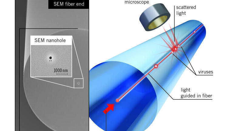 Seeing Viruses in a New Light with Nanoholes