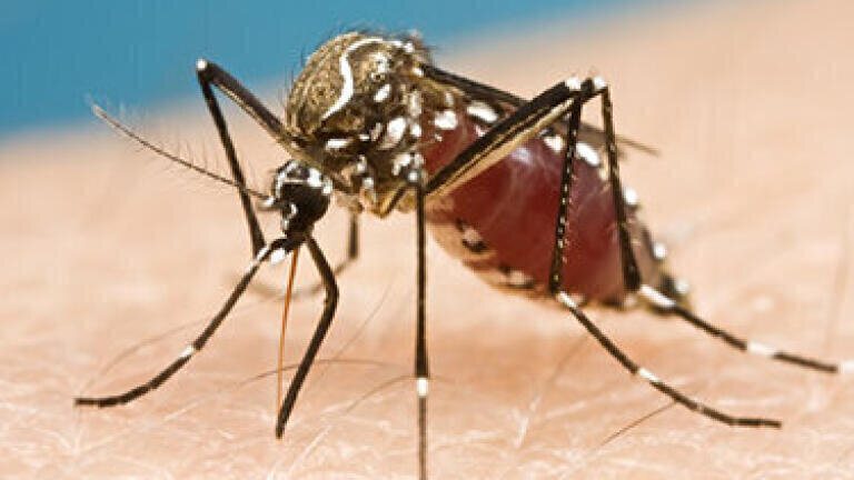 Can the Zika Virus Be Spread By Kissing?
