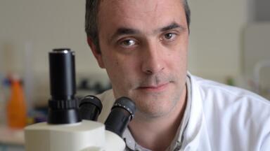 Research Offers Hope for IBD Sufferers