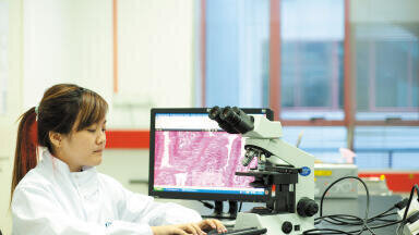 Coordinated Support for National Tissue Directory