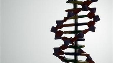DNA Structures Provide Alternative Delivery System