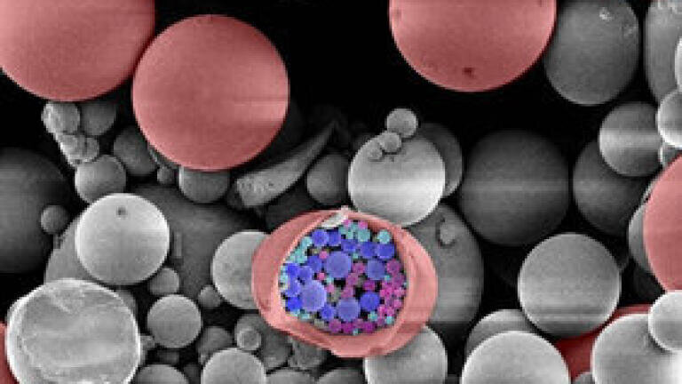 A glimpse inside a magnetic particle (false colour)