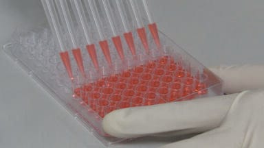 Thermo Fisher Scientific Nunc Edge 96-well Plates