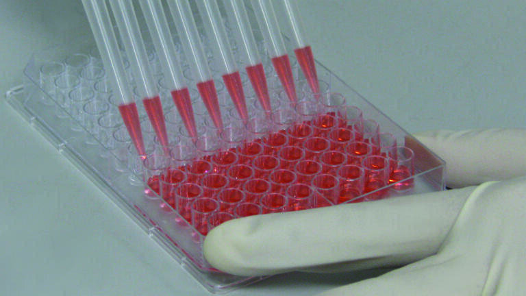 Thermo Fisher Scientific Nunc Edge 96-well Plates