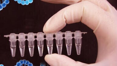 High Performance Freeze-Dried qPCR and qRT-PCR Mastermixes Maximise Shelf Life and Minimise Costs