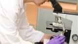 Colposcopes Selected for Screening Programme in Turkey