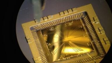 Gold Chip Ion-Trap Image Captures Top Prize