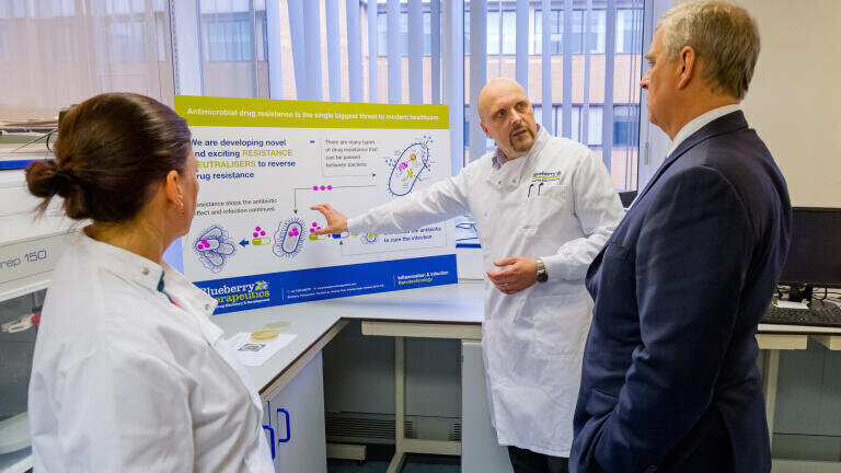 Developing Nanomedicines to Tackle Inflammation and Infection
