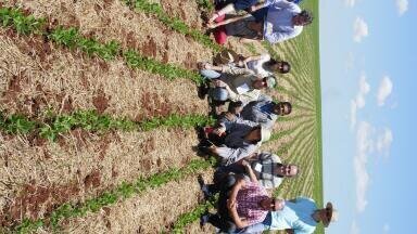 Project to Combat Wheat Disease