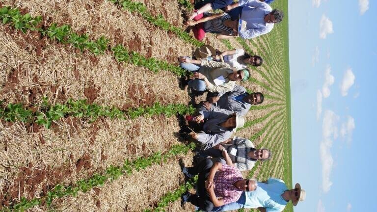 Project to Combat Wheat Disease