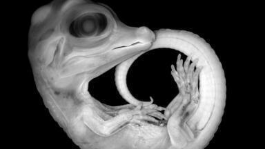 Images Spotlight Research at Imperial College