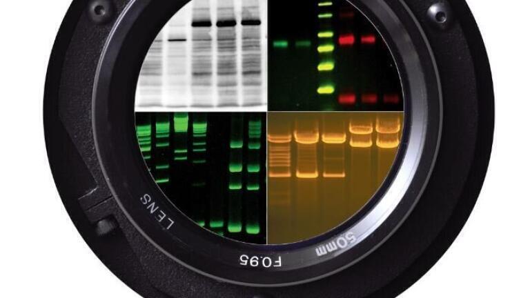 Automated, High-Sensitivity Advanced Imaging Systems