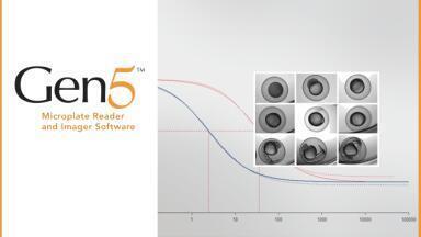 New Data Analysis Software Enables Quick, Effortless Cell-Based Imaging