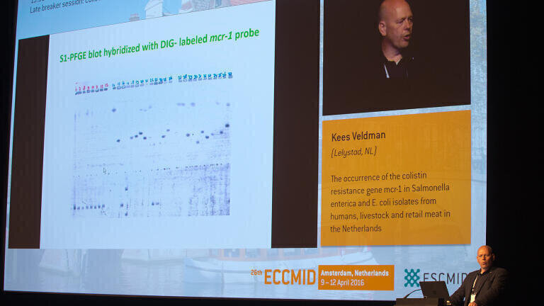 Antibiotic Resistance Late Breaking Abstracts Revealed at ECCMID