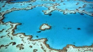 Why Is the Great Barrier Reef Facing the Worst Coral Bleaching in Its History?