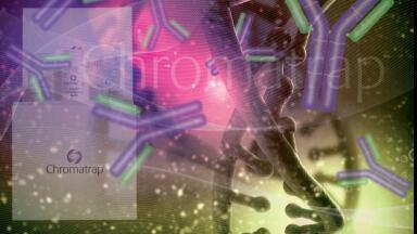 Matched ChIP-validated Antibodies and Primer Sets