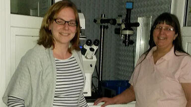 AFM System Helps Researchers to Study the Interaction of Bacteria with Microstructured Surfaces