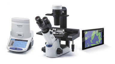 Accelerating the cell culture workflow for experimental success