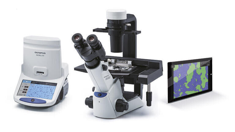 Accelerating the cell culture workflow for experimental success