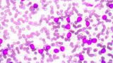 Custom Cell and Tissue Sourcing Service Announced