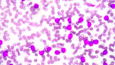 Custom Cell and Tissue Sourcing Service Announced