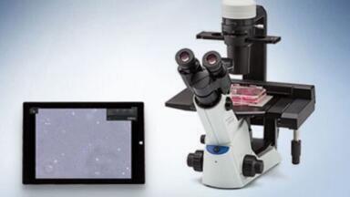 Standardising cell culture: New Olympus confluency checker software