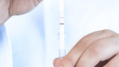 New Kits Put Flexible Assay Development in Your Hands