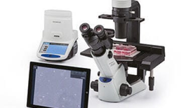 Expect success with cell culture standardisation and documentation