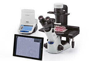 Expect success with cell culture standardisation and documentation
