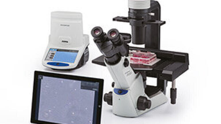 Expect success with cell culture standardisation and documentation