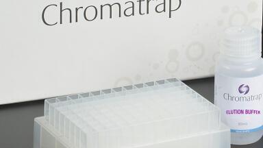 Rapid Production of Ultra-Pure DNA