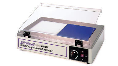 ‘Two-in-One’ Transilluminators Provide Both Ultraviolet and White Light Illumination