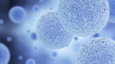 Real-Time Intracellular Oxygen Assay