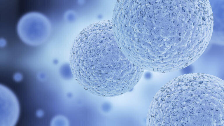 Real-Time Intracellular Oxygen Assay