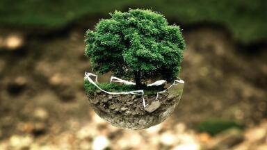 Is Climate Change Jeopardising Global Biodiversity?