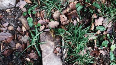 Soil analysis with spectroscopy equipment