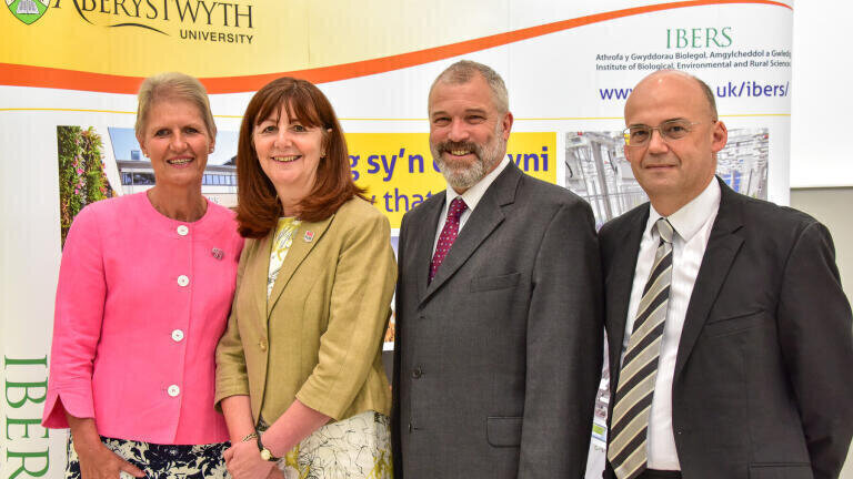 Stepping Towards Veterinary Excellence