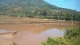 Bioinformatics to Move Rice Project Forward