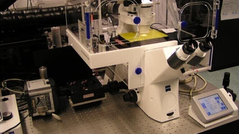 Designer Nanomaterials Caught by Laser Octopus