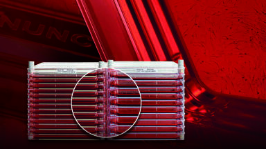 High Density for more cells and higher productivity
