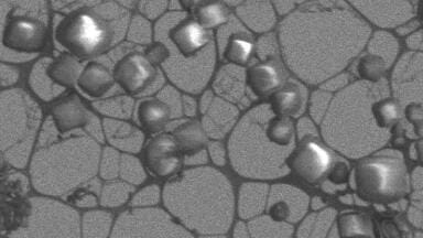 Cryo Preparation System Used in Conjunction with a new Beamline Helps to Align Protein Crystals