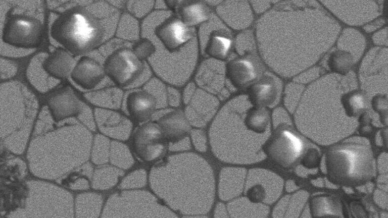 Cryo Preparation System Used in Conjunction with a new Beamline Helps to Align Protein Crystals