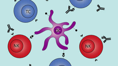 TIGIT Receptor Products for Immunotherapy Research