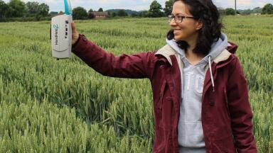 Portable Spectroradiometers Helps to Develop Better Disease Management and Yield Production in Wheat Crops